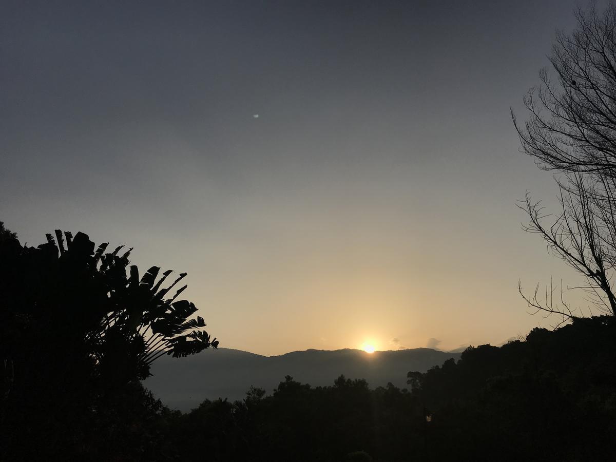 Wisdom Garden Home Stay Yuli Εξωτερικό φωτογραφία
